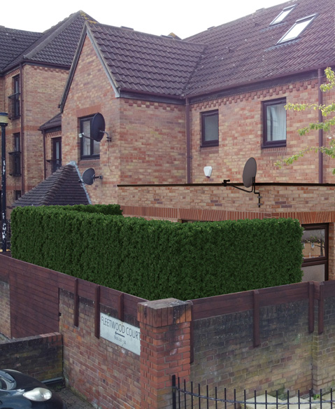 Extension & Loft Conversions